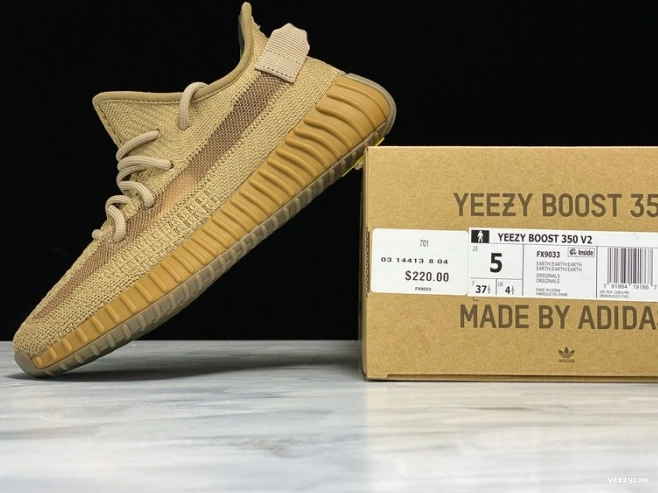 Yeezy Adidas 350 FX9033 Earth V2 Boost 1010